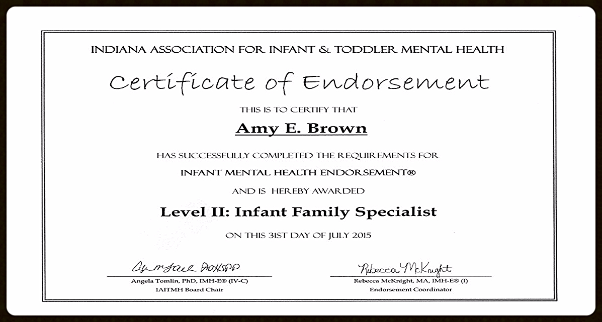 Infant and Toddler Mental Health Specialist Level II